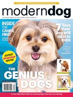 Modern Dog